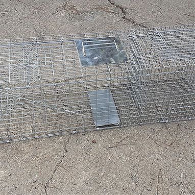 REF. 12 Jaula Trampa con Cebo Vivo