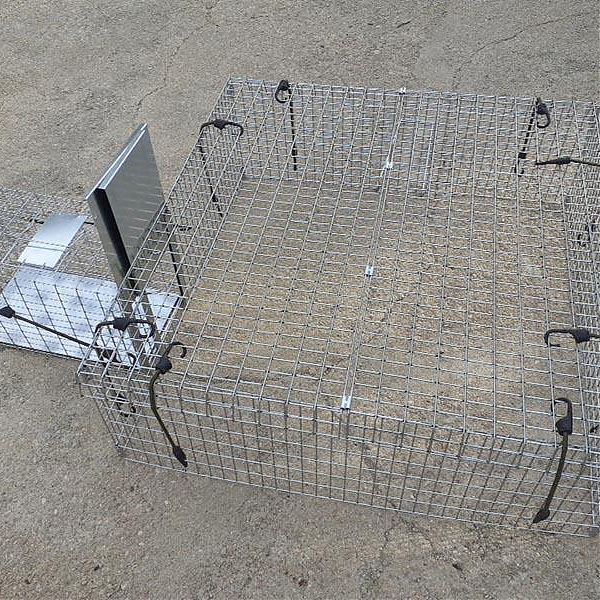  REF. N00 Trampa manual Gato. Drop Trap