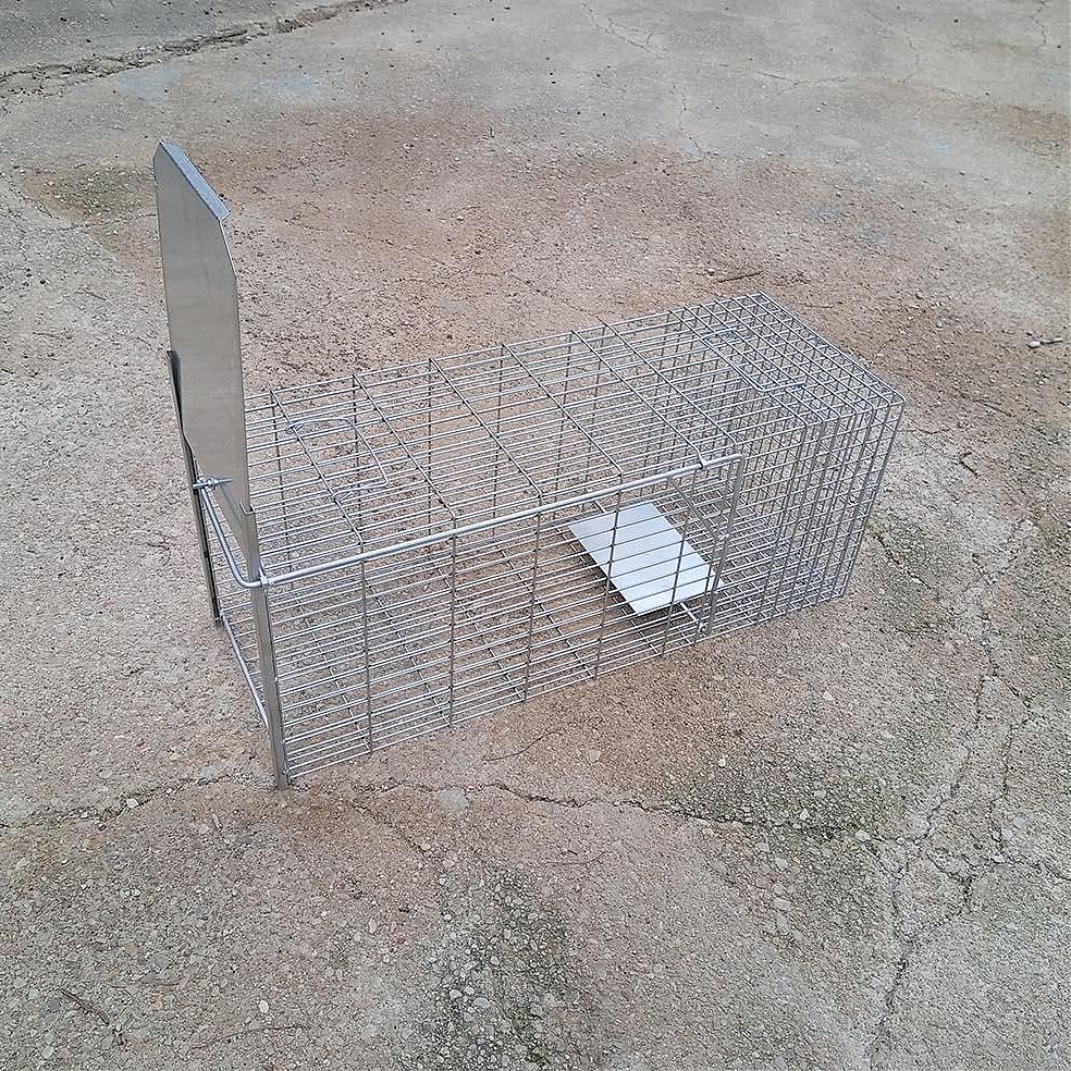 REF. N03.1 Jaula Trampa Gato