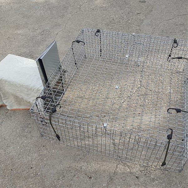 REF. N00 Trampa manual Gato. Drop Trap