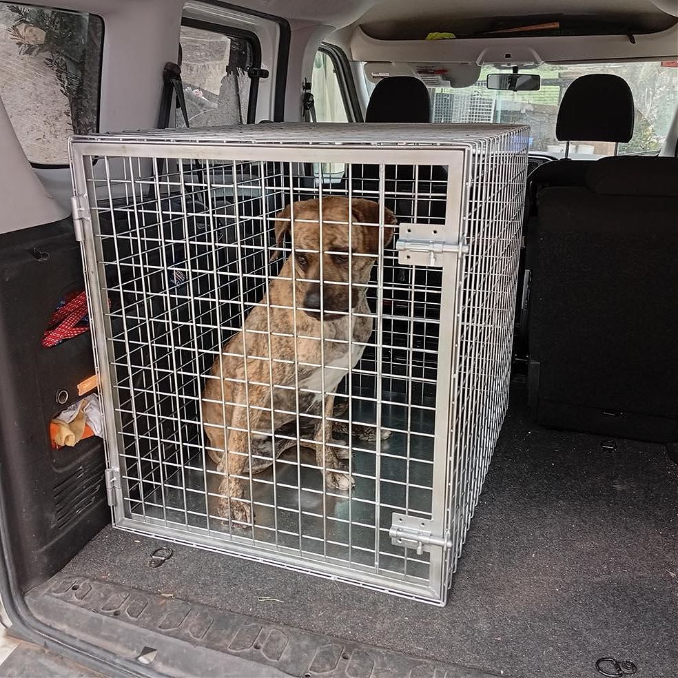  REF. N28 Transportín para Perros