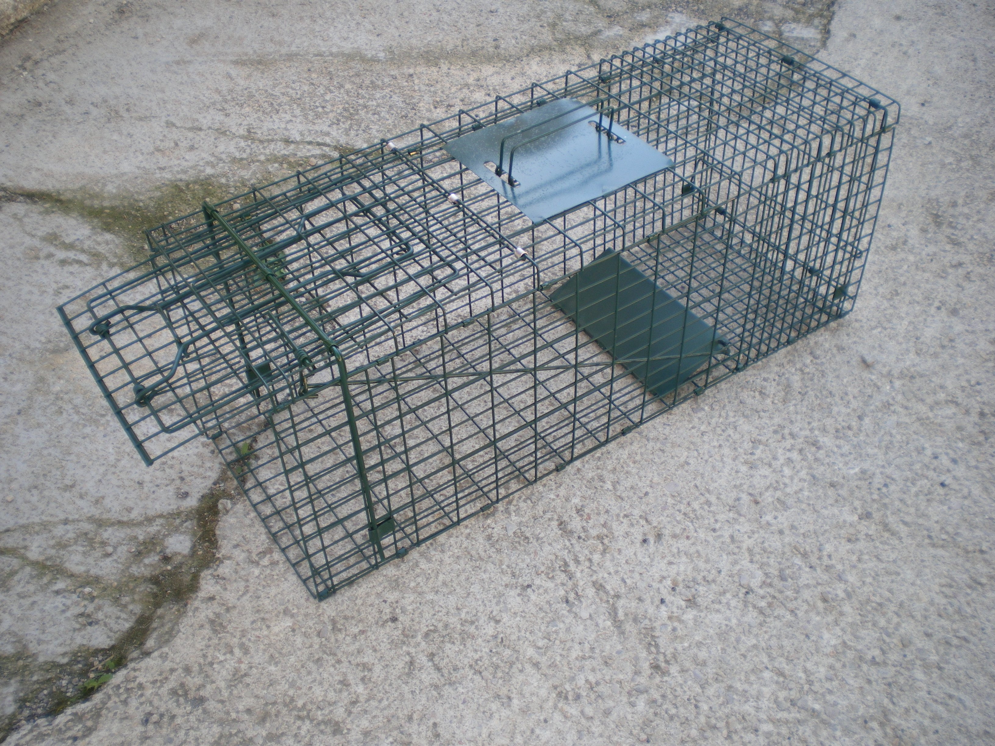 Trampa de jaula para animales vivos, 31 x 10 x 12 pulgadas, trampa para  gatos humanitarios de hierro galvanizado, trampa plegable para animales con